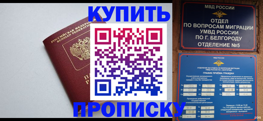 прописка регистрация в Чаплыгине